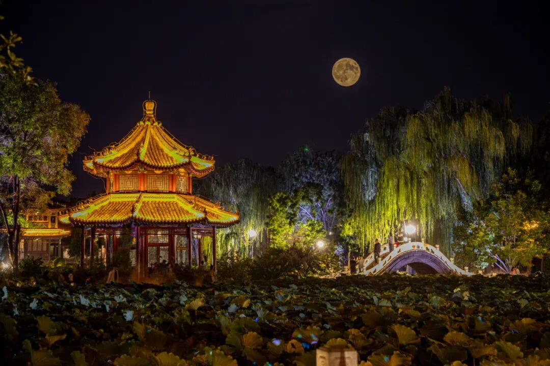 图片5.png