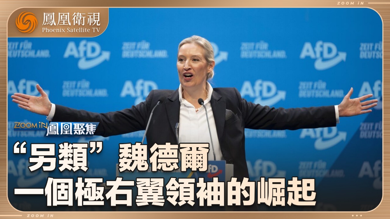 魏德尔 一个极右翼领袖的崛起
