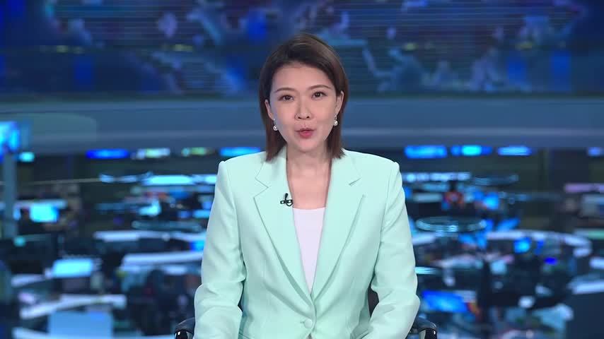 王毅会见印尼国家经济委员会主席 冀深化战略沟通