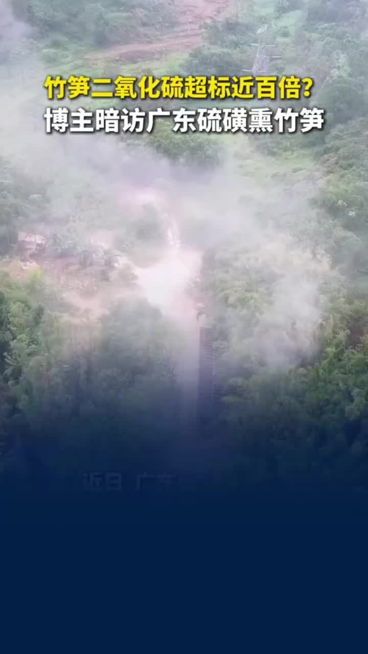 博主暗访广东硫磺熏竹笋