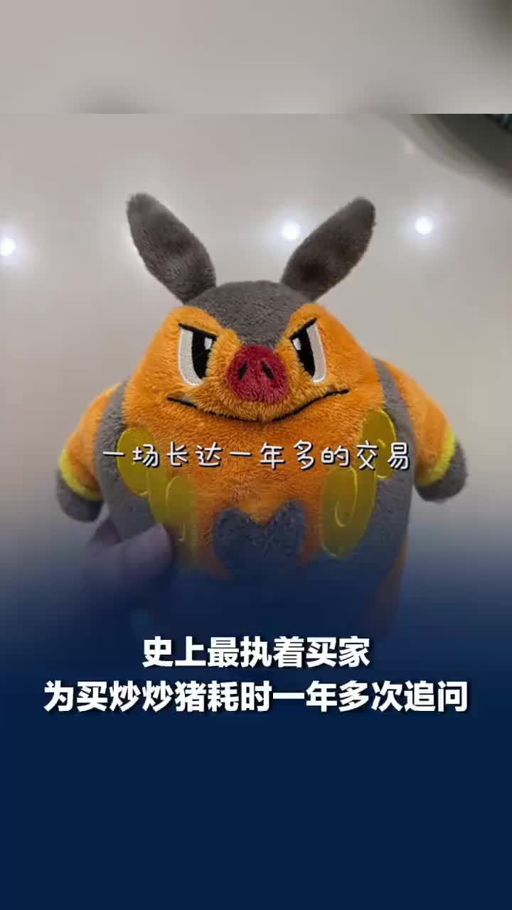 二手平台最执着买家每月打卡寻猪