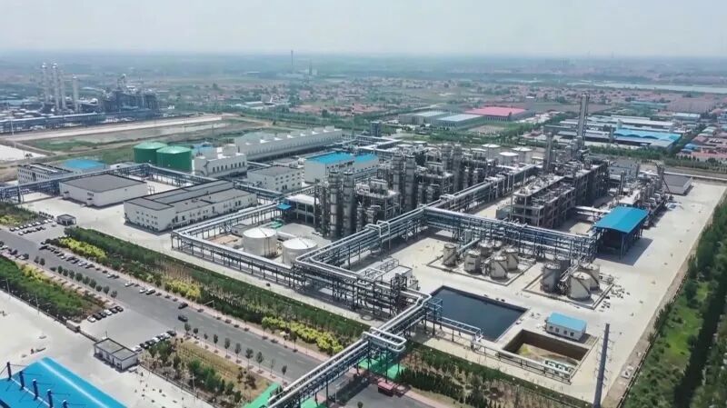(图源:利津政务)