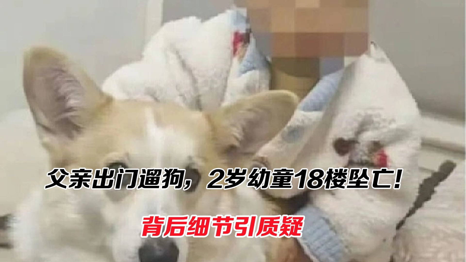 父亲出门遛狗，2岁幼童18楼坠亡！背后细节引质疑