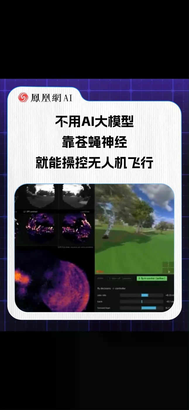 国外脑洞实验，读取苍蝇视觉神经信号，在虚拟模拟器操控无人机飞行，障碍物靠近就会触发苍蝇天生逃生本能自动避障，不靠AI大模型，只靠昆虫自带的避险能力。#仿生机器人 #AI #苍蝇大脑模拟