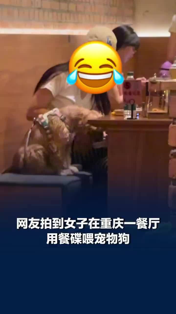 网友拍到女子在餐厅用餐碟喂小狗，餐厅称喂宠物狗餐碟是顾客自带：就餐区已消杀