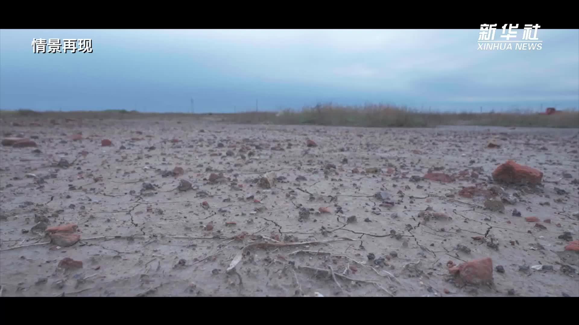 产业链蹲点日记：潮起泰达——天津经开区