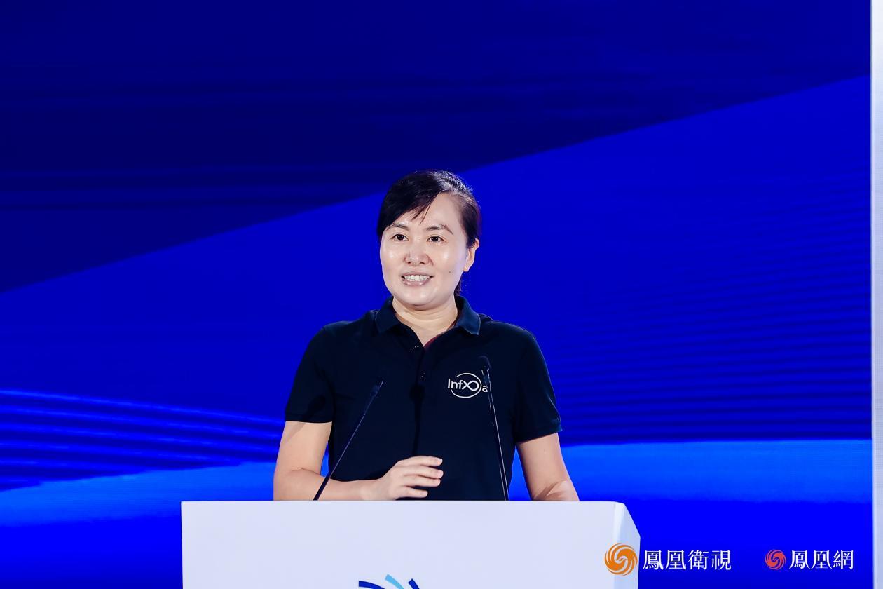 香港理工大学人工智能高等研究院执行院长、生成式人工智能讲座教授、InfiX.ai创办人杨红霞
