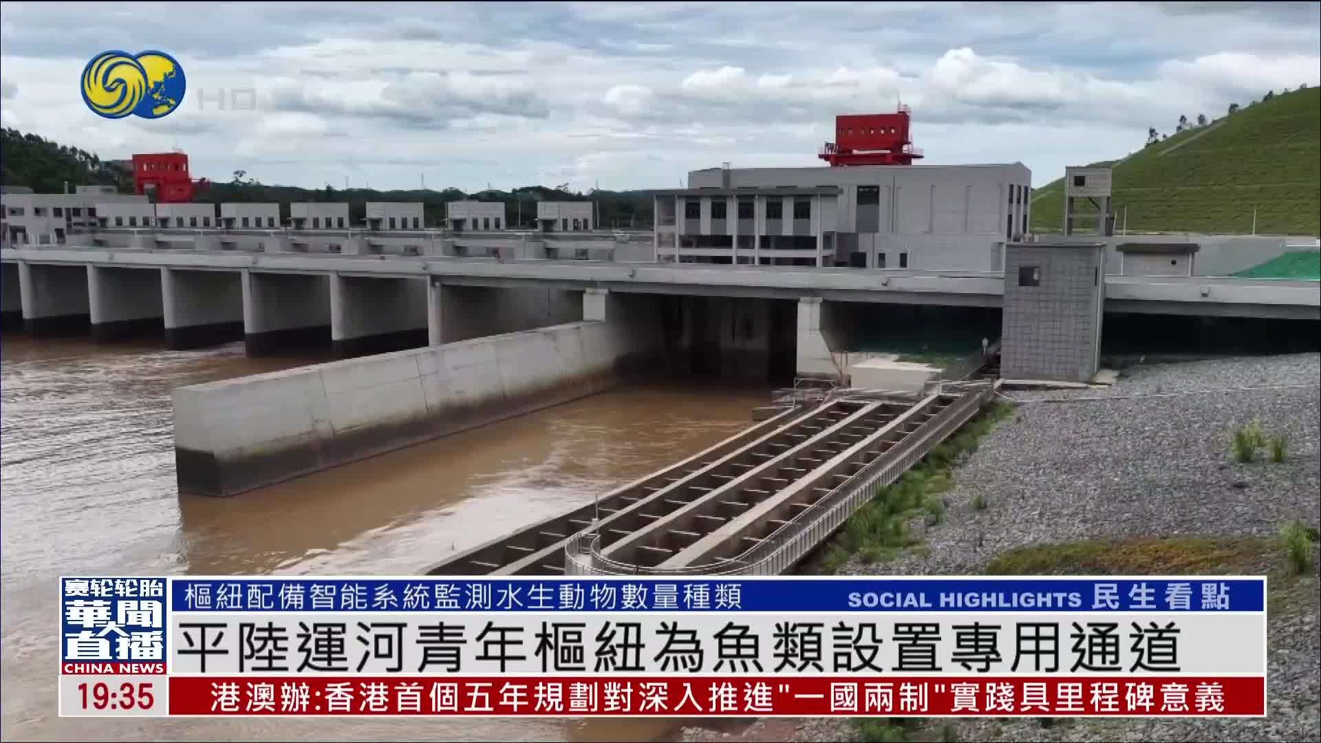 现场报道｜平陆运河青年枢纽为鱼类设置专用通道