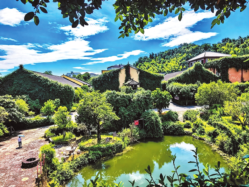 采风湖南临湘十三村,80 余位媒体人愣了一下:这到底是工厂,还是景区?