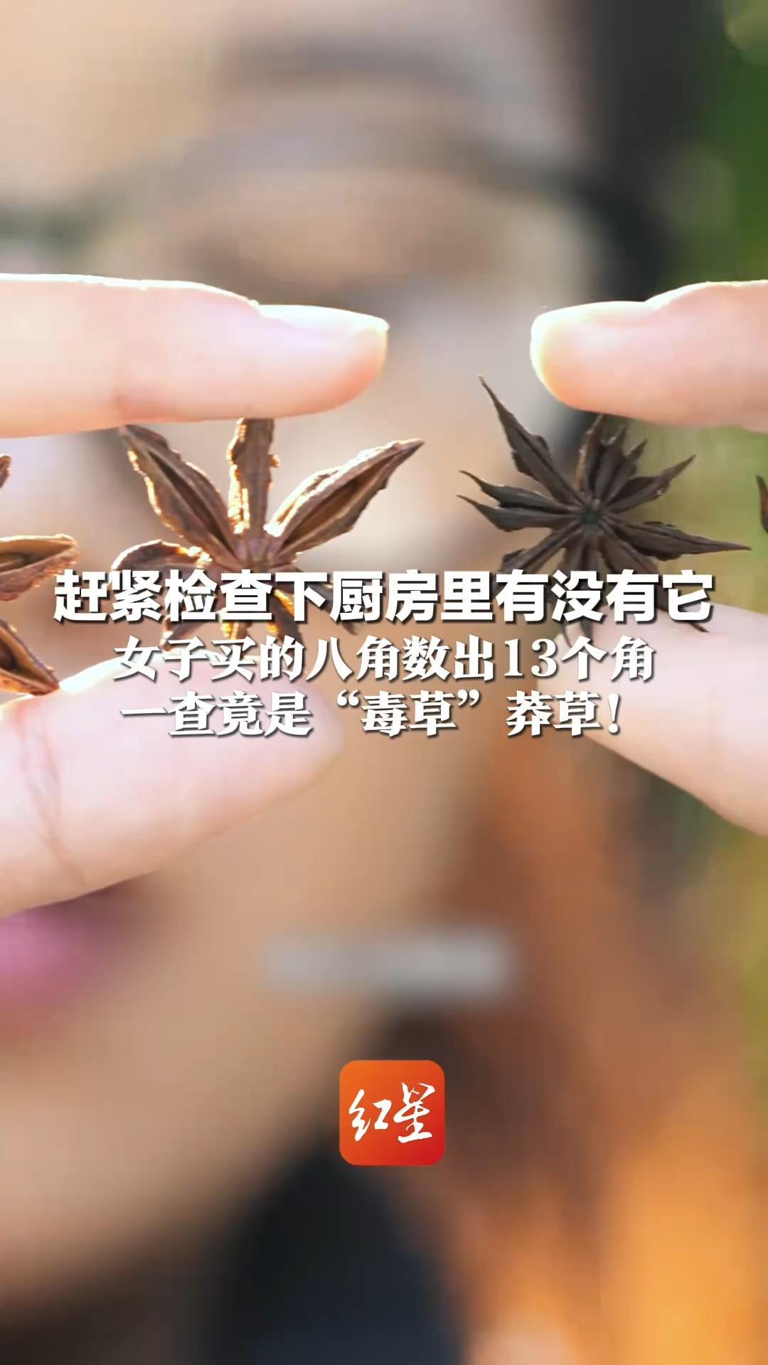 赶紧检查下厨房里有没有它 女子买的八角数出13个角 一查竟是“毒草”莽草！大量食用会四肢抽搐、口吐白沫，严重则危及生命