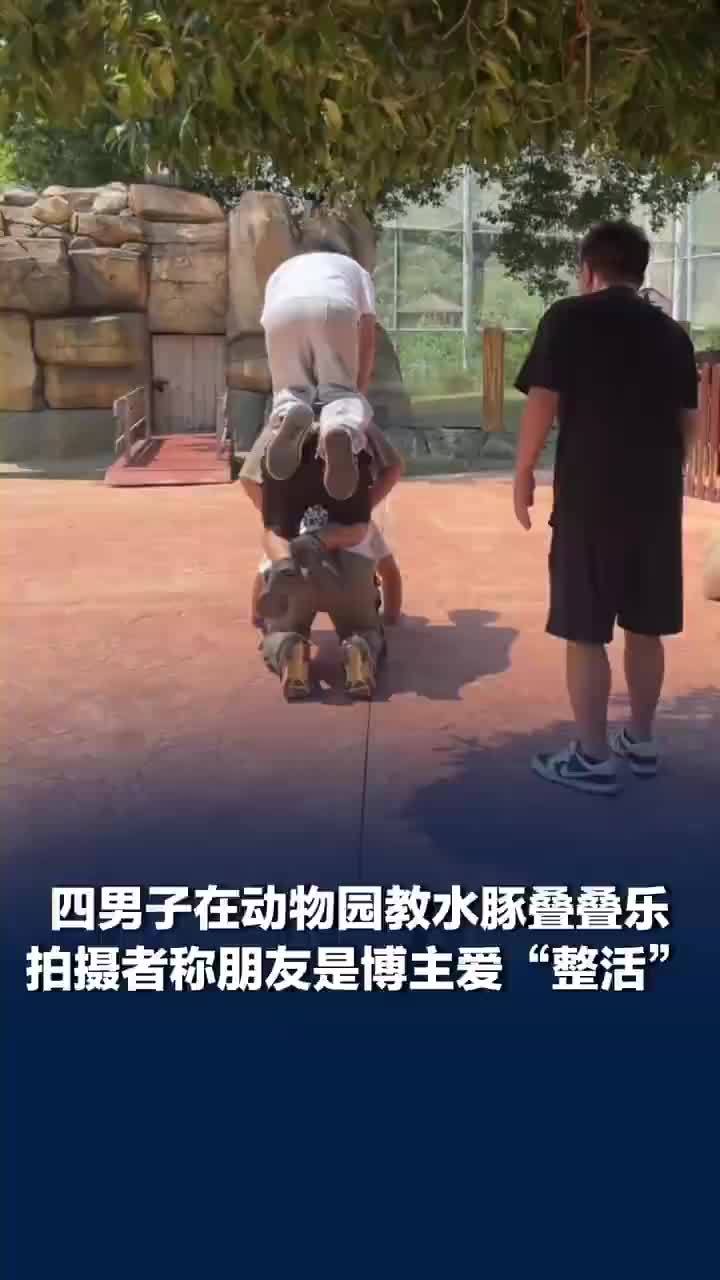 4男子在动物园教水豚叠叠乐，拍摄者称朋友是博主爱“整活”，园区未阻拦并允许近距离互动