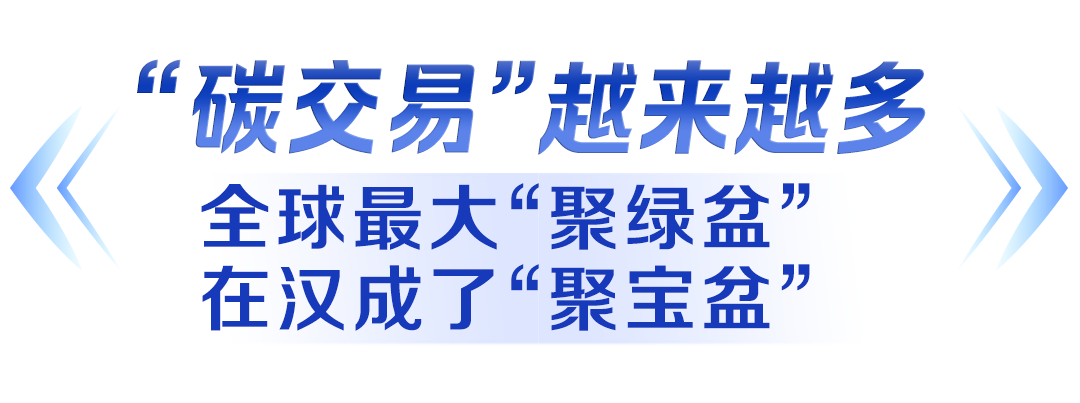 走进中碳登大厦,除了注册登记大厅不断跳动的数字,看上去与普通写字楼并无二致。