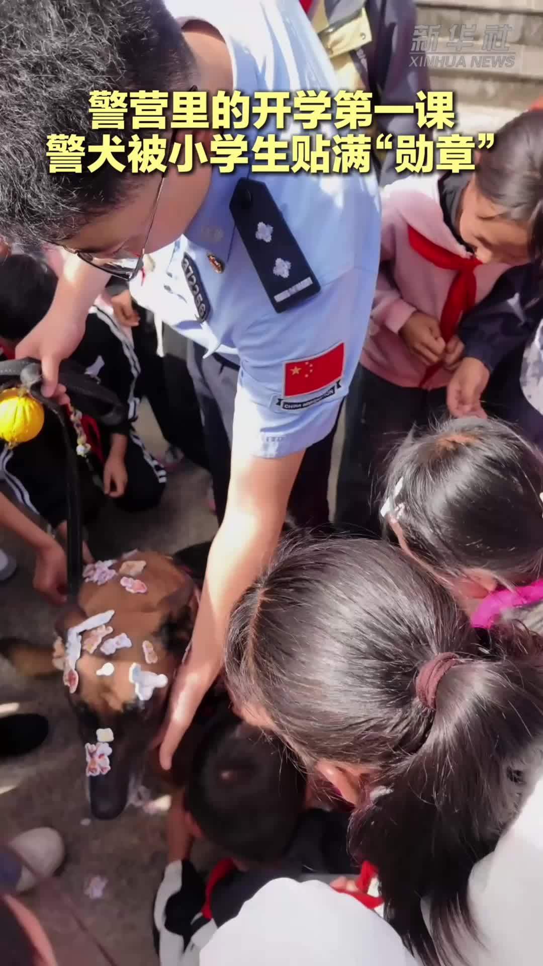 警营里的开学第一课 警犬被小学生贴满“勋章”