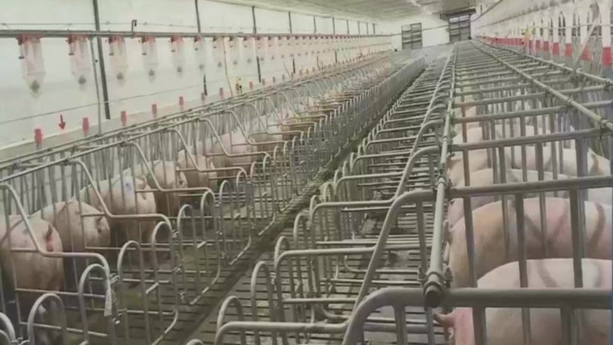 甘肃：种养循环　变废成金
