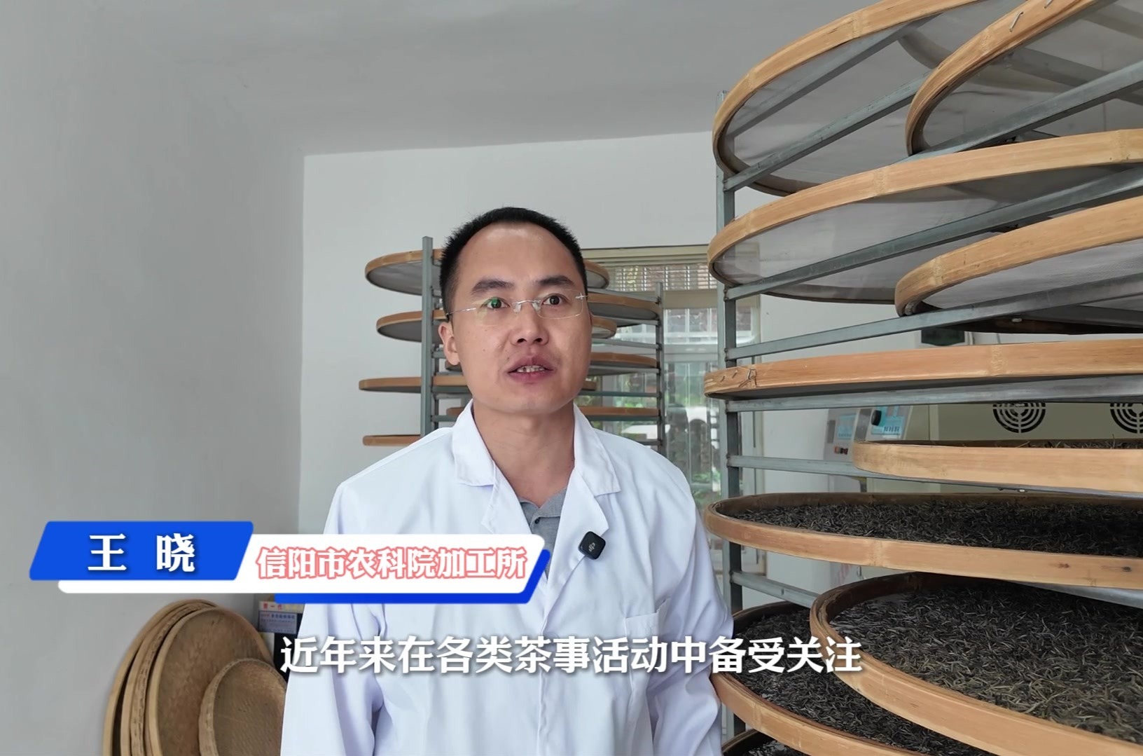 信阳市农科院科普微视频解码信阳白茶：毛尖故乡走出的清甜新贵！