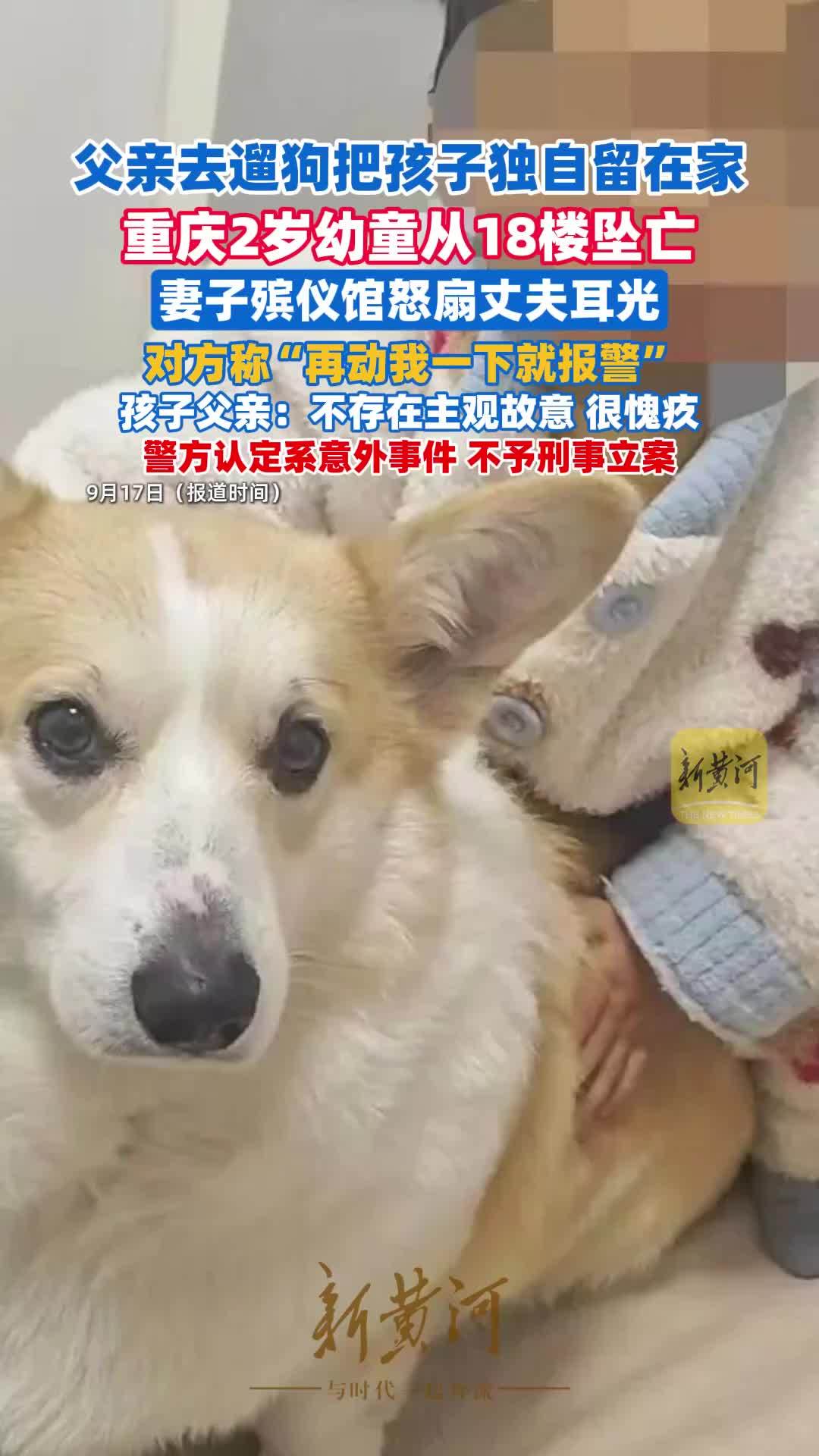 重庆2岁幼童从18楼坠亡，母亲称父亲把孩子独自留在家中去遛狗，父亲发声：我很愧疚