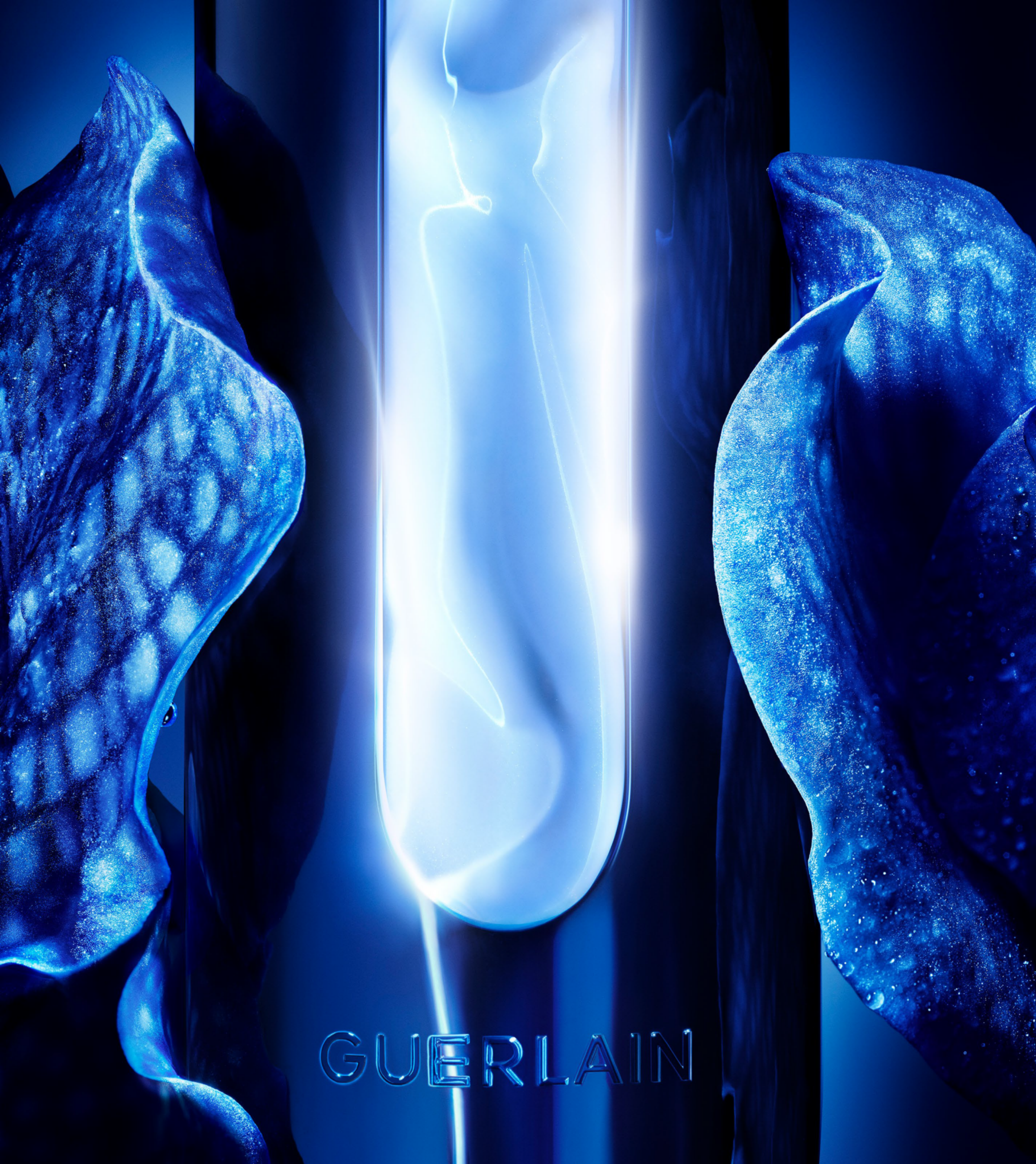 12(1).png