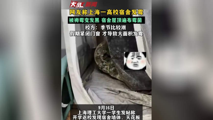 网友称上海一高校宿舍发霉 被褥霉变发黑 宿舍屋顶遍布霉菌 校方：季节比较潮 假期紧闭门窗 才导致大面积发霉