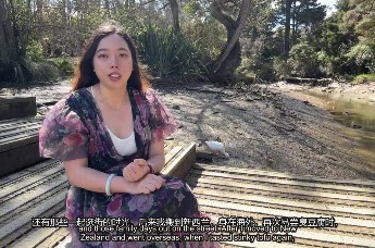 臭豆腐