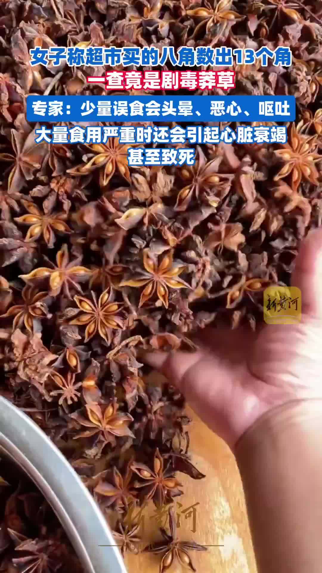 女子称超市买的八角数出13个角，一查竟是剧毒莽草，专家介绍：莽草少量误食会头晕、恶心、呕吐，大量食用严重时还会引起心脏衰竭，甚至致死