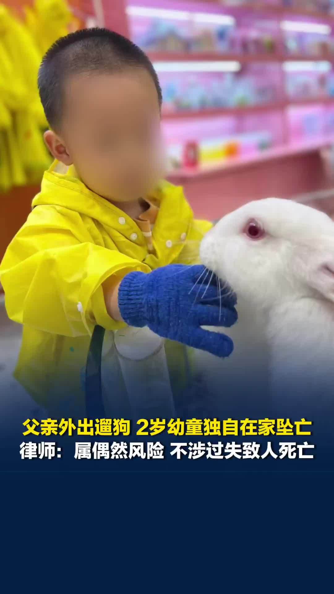 父亲外出遛狗12分钟，2岁幼童独自在家坠亡，律师解读