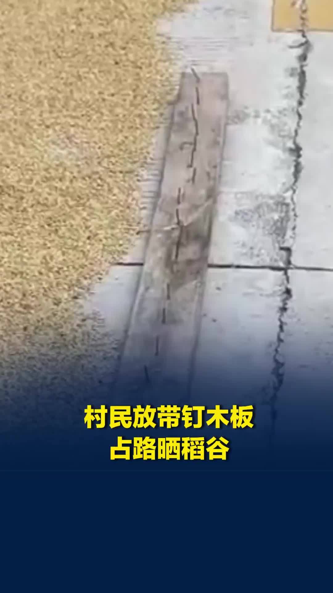 村民占用一半村路晒稻谷，周边放带钉子的木板“护住”，目击者：太危险，把木板扔了