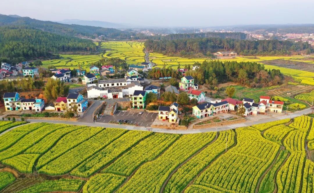 万安县田北农民画村。