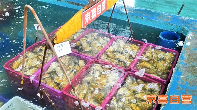 梭子蟹三文鱼生蚝直达中秋餐桌 京东京喜释放连云港海鲜产业带优势