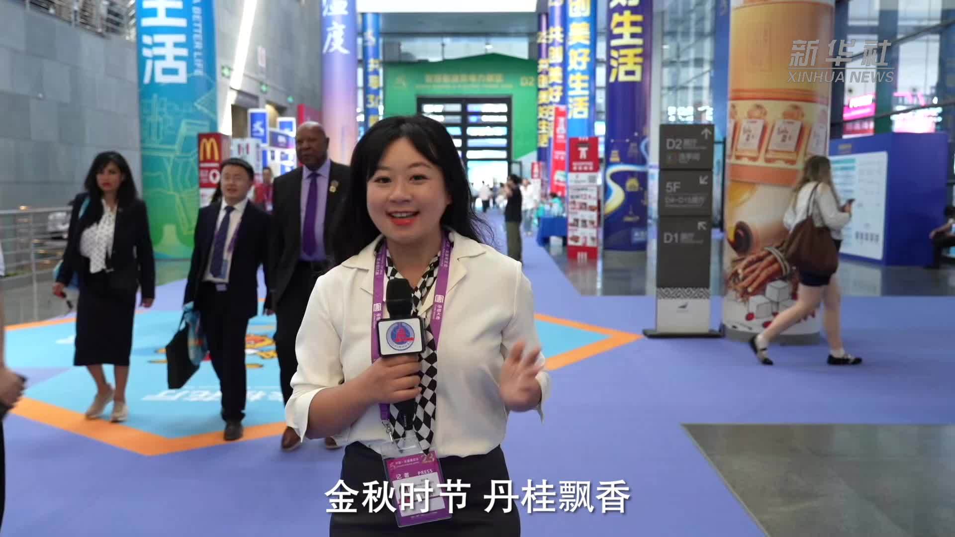 第23届中国—东盟博览会暨中国—东盟商务与投资峰会开幕