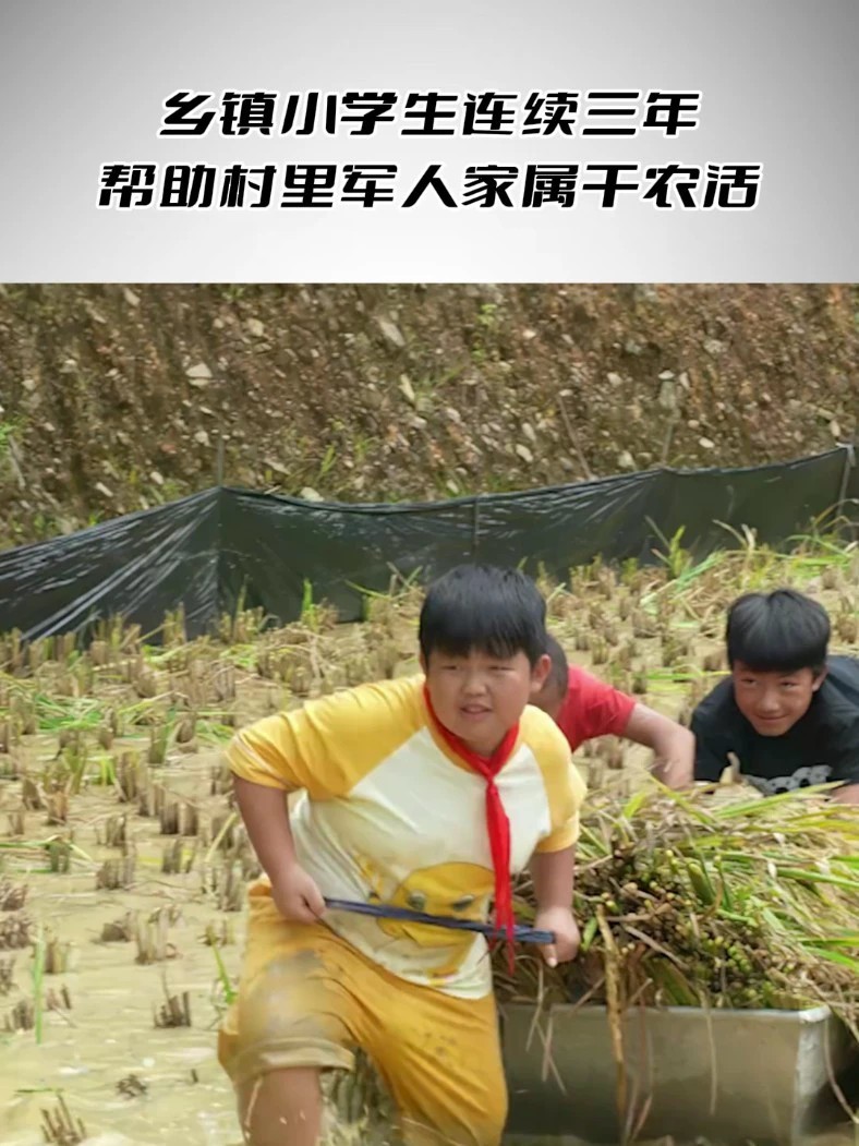 乡镇小学生连续三年帮助村里军人家属干农活