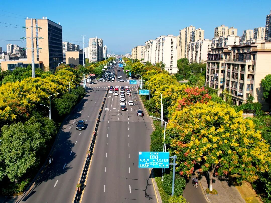 图片_0000140910_陈高年_栾树花开.jpg