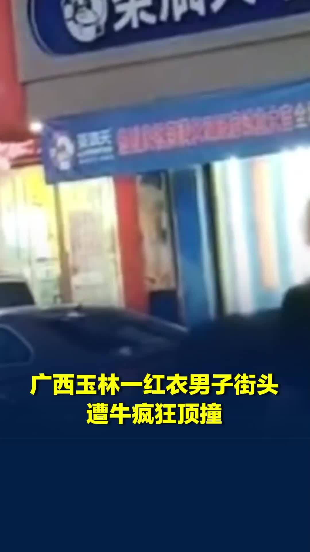 广西玉林一红衣男子街头遭牛疯狂顶撞，牛被当场击毙，伤者正住院治疗