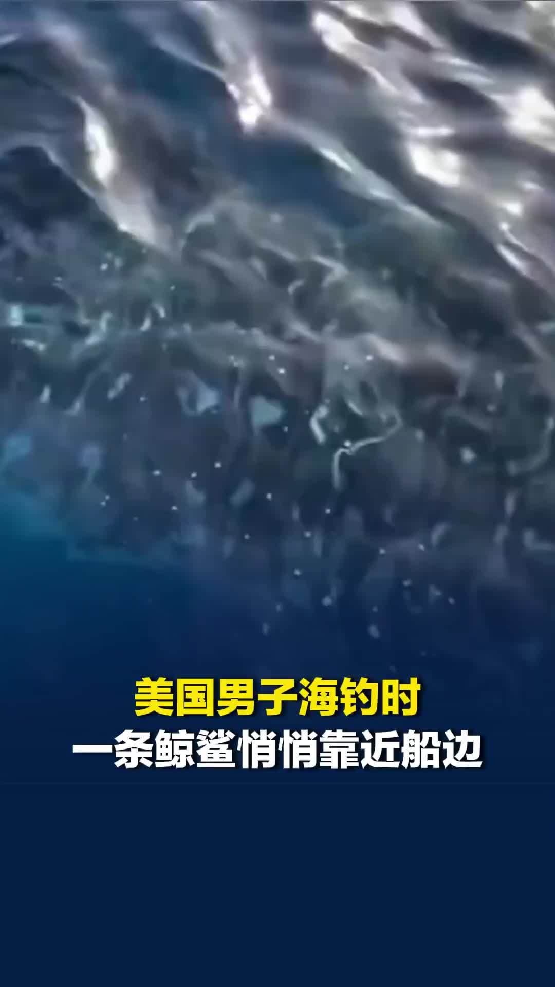 美国男子海钓时，一条鲸鲨悄悄靠近船边