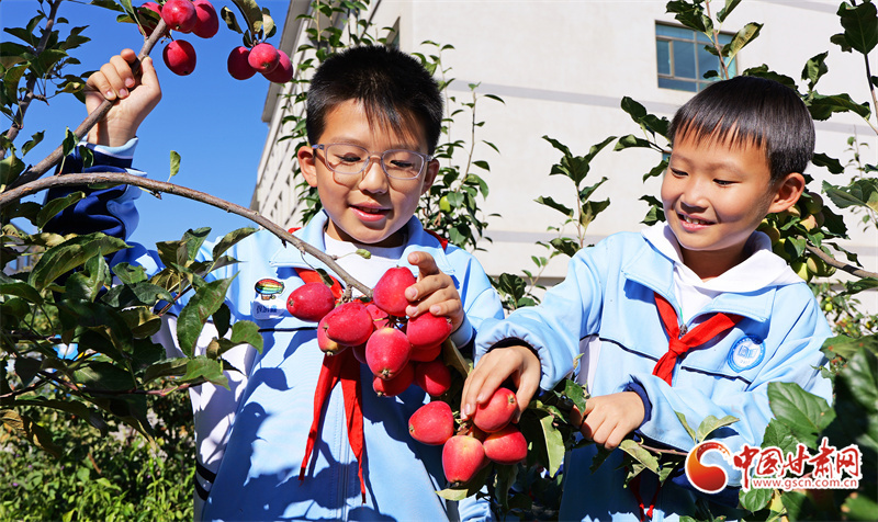 学生在校园农场里采摘果蔬
