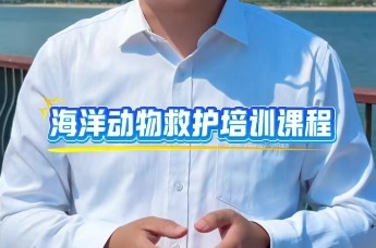 守护海洋这件事，志愿者有话说