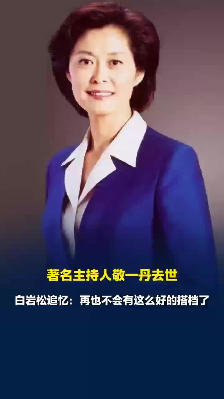 白岩松敬一丹并肩同行超30年