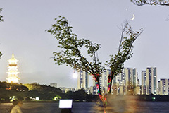 南昌夜空现“金星伴月”天象