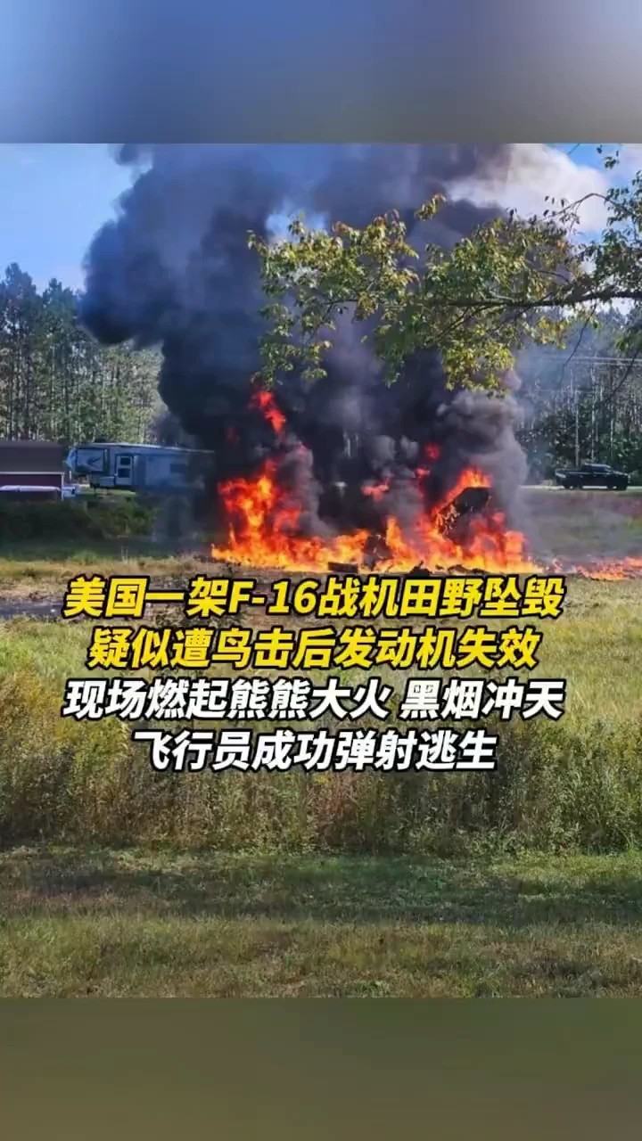 美国一架F-16战机田野坠毁，疑似遭鸟击后发动机失效