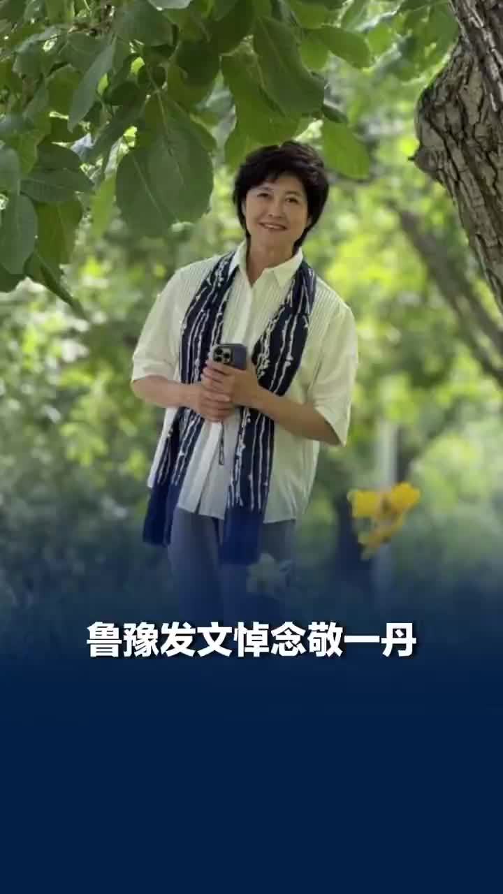陈鲁豫称最近想约敬一丹做节目
