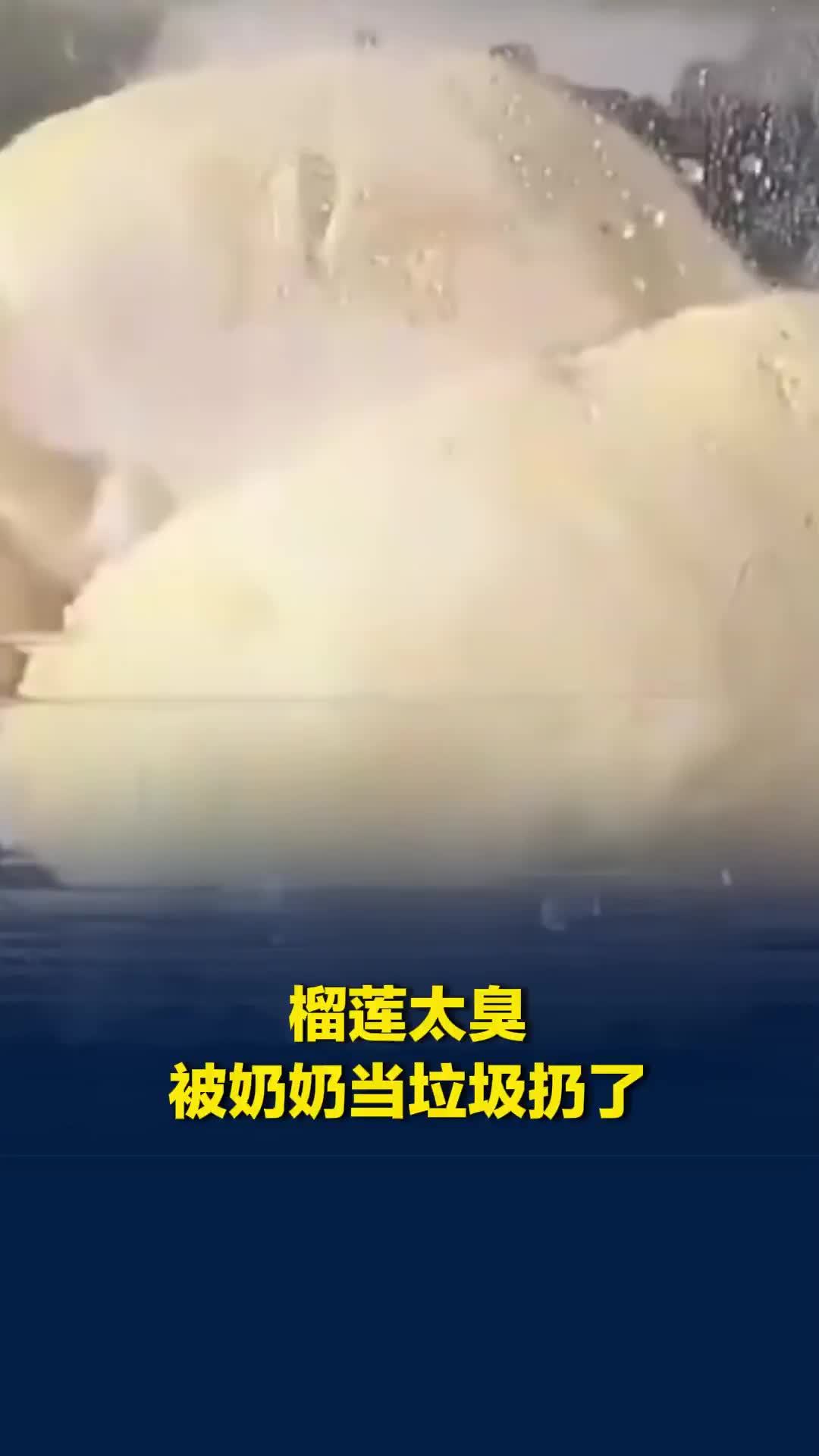 榴莲太臭被奶奶当垃圾扔了，全家翻垃圾桶找回，家属：捡回来吃了，差点浪费200多块
