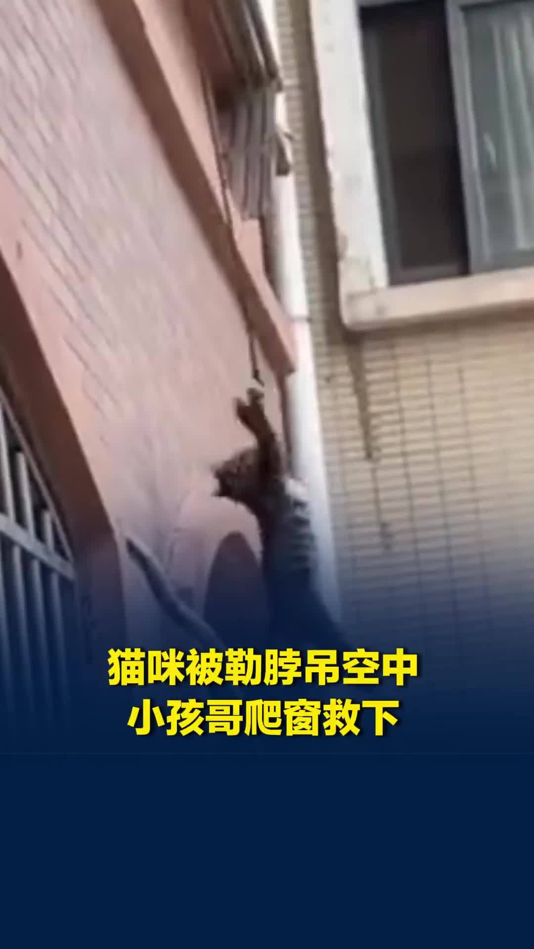 猫咪被绳子勒脖吊在3楼空中，“小孩哥”爬防盗窗将其救下