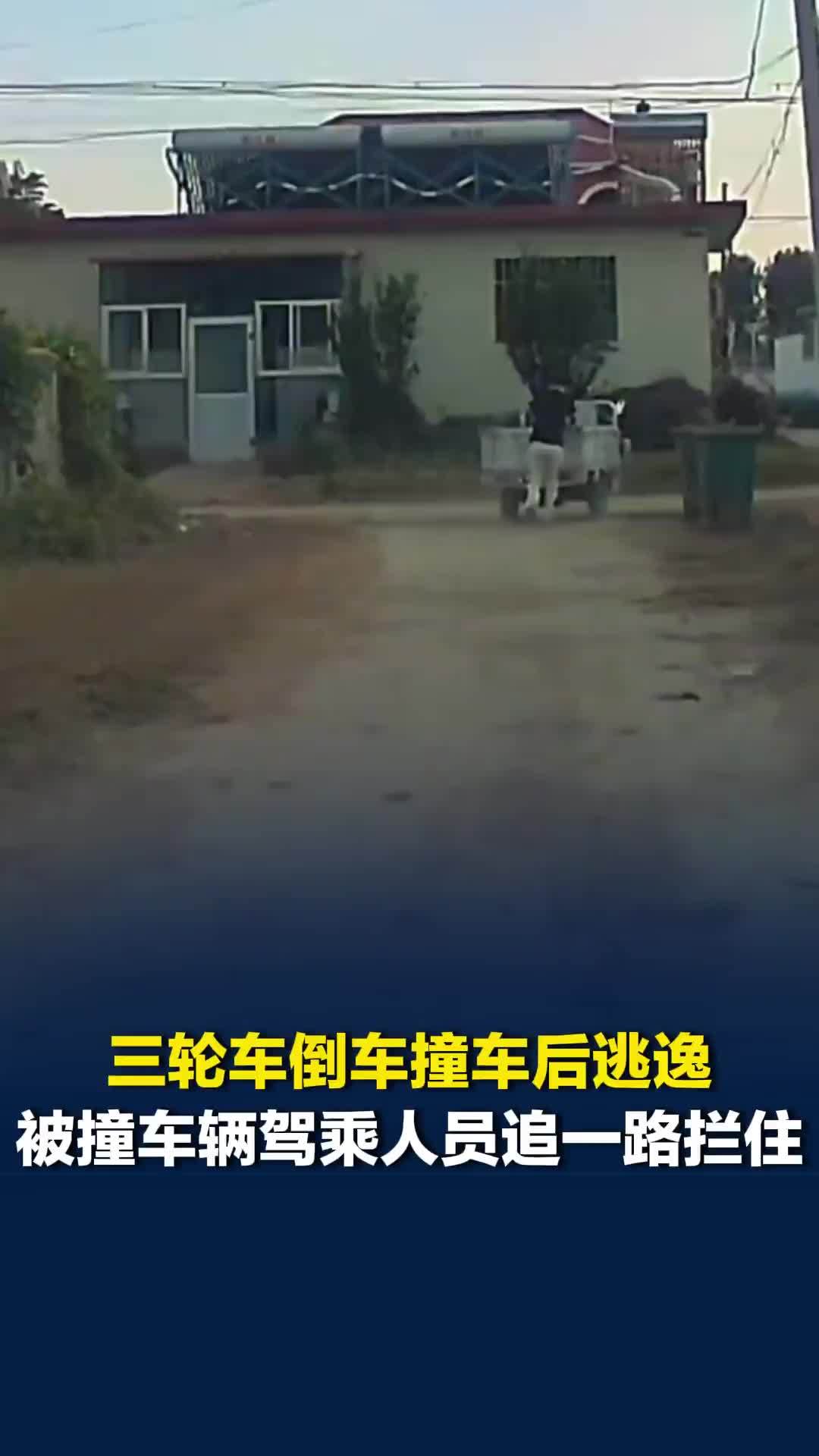 三轮车倒车撞车后逃逸，被撞车辆驾乘人员追一路拦住报警