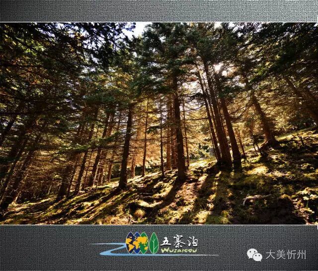 忻州五寨:生态文旅绘就康养画卷