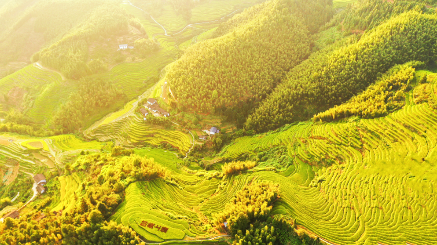 秋日上堡梯田风景如画。
