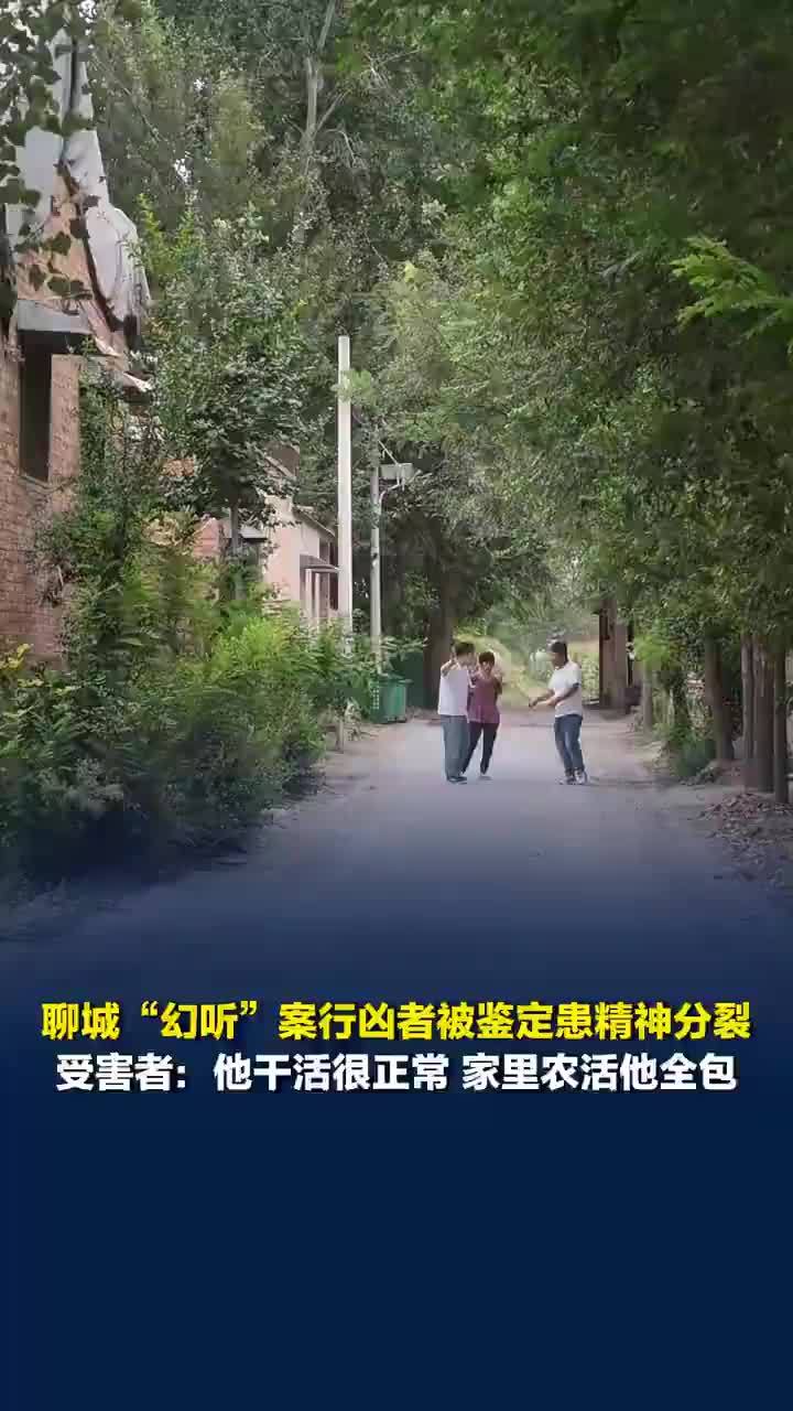 幻听行凶案凶手被鉴定精神分裂