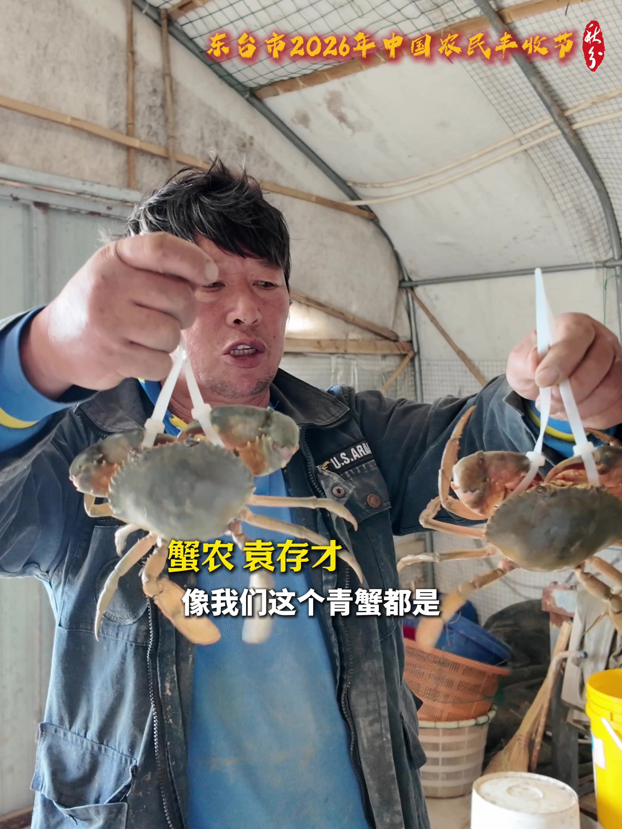 秋润弶港，青蟹正肥！膏黄满溢，肉嫩鲜香。东台市2026年中国农民丰收节活动将于9月23日在弶港镇八里村举行，一同品味独一份的滨海丰收滋味