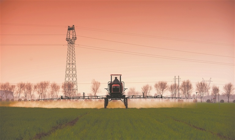 周口国家农高区管委会出动喷洒农药机械对麦田进行“一喷三防”病虫害防治作业。 柴元红 摄