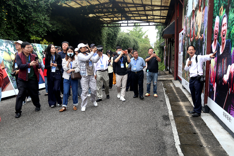 采风湖南临湘十三村,80 余位媒体人愣了一下:这到底是工厂,还是景区?