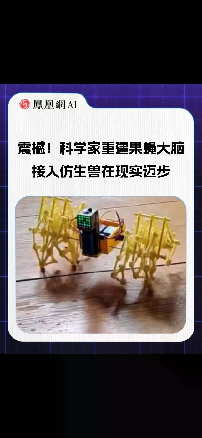 震撼！科学家重建果蝇大脑，接入仿生兽在现实迈步#AI #人工智能 #科技 #热门 #热点