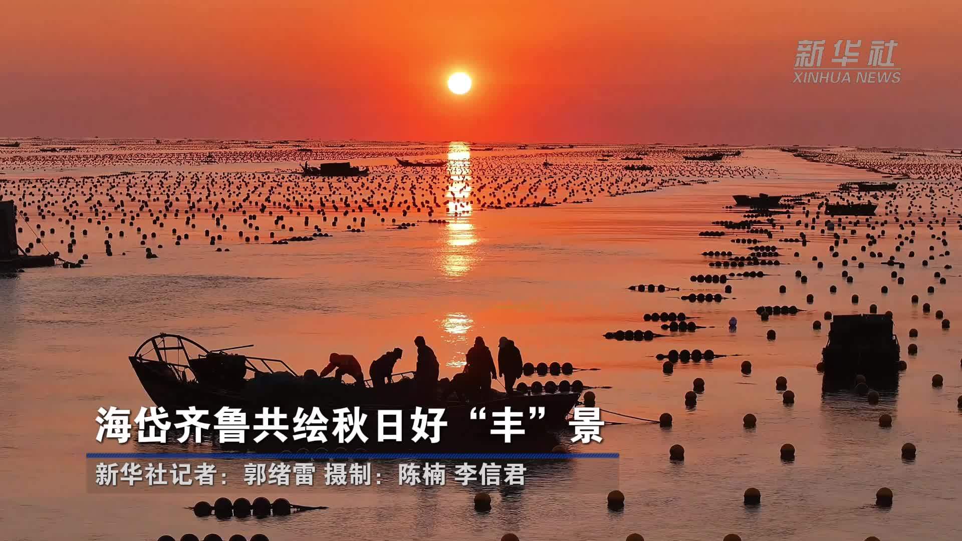 海岱齐鲁共绘秋日好“丰”景